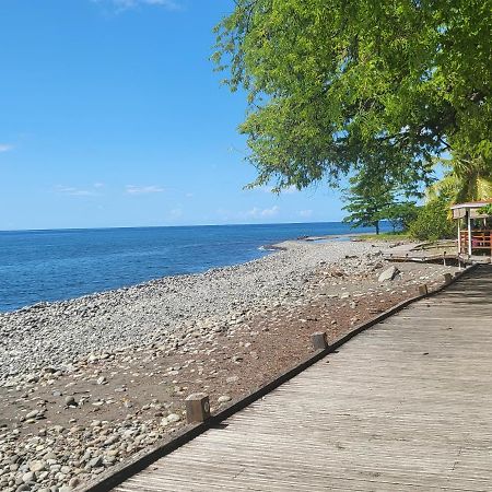 Villa Majorelia Vieux-Habitants Kültér fotó